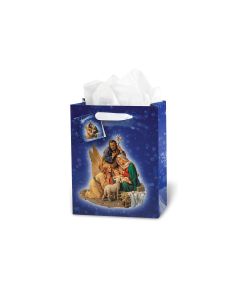 Nativity Small Gift Bag with Tissue (Inc. of 10)