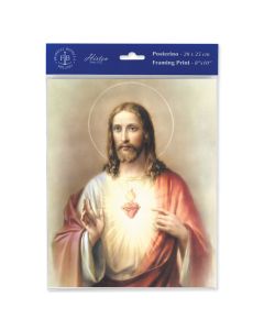 8" x 10" Sacred Heart of Jesus Print  (sold in inc. of 3)