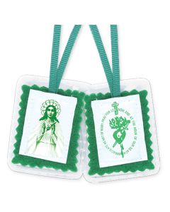 1 3/4" X 2 1/4" Immaculate Heart of Mary Green Scapular Sealed in Soft Plastic Case on 2 13 1/2" Cords. Carded-P65
