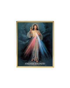 8" x 10" Gold Plaque Frame with a Divine Mercy in Spanish Print