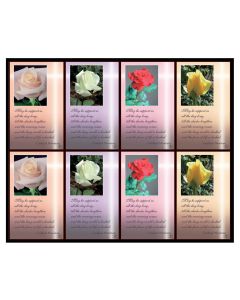 Aurora Rose with Verse Eight-Up Micro Perforated Holy Cards