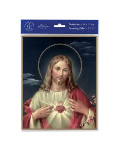 8" x 10" Sacred Heart Print of Jesus Print (sold in inc. of 3)