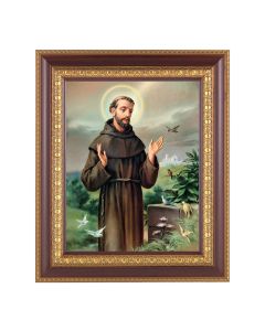 11 1/2" x 13 1/2" Cherry Frame with Gold Trim with an 8" x 10" Saint Francis Print