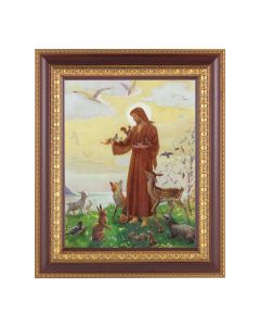 11 1/2" x 13 1/2" Cherry Frame with Gold Trim with an 8" x 10" St. Francis Print