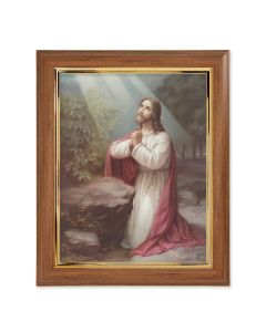 10" x 12" Walnut Frame with Gold Inside Lip and a 8" x 10" Christ on Mt. Olive Print