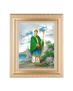 10 1/4" x 12 1/4" Satin Gold Frame with an 8" x 10" Saint Patrick Print