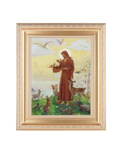 10 1/4" x 12 1/4" Satin Gold Frame with an 8" x 10" St. Francis Print