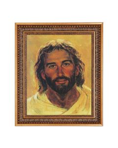 11"x14" Hook:  Head of Christ Print in a 13.5" x 16 9/16" Vintage Bronze with Acanthus Leaves Frame with Velvet Backing and Plexiglass 