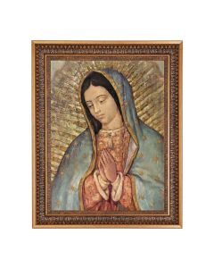 12" x 16" O.L. of Guadalupe (Bust) Print in 15.5" x 19.5" Vintage Bronze Acanthus Leaves Frame with Velvet Backing and Plexiglass