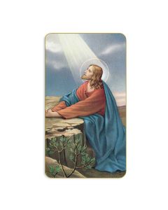 Christ in the Garden Holy Card