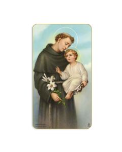 Saint Anthony Holy Card