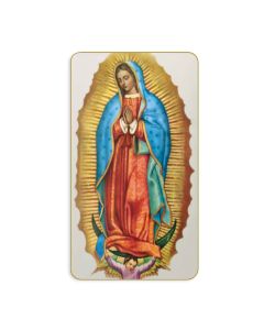 Our Lady of Guadalupe Holy Card