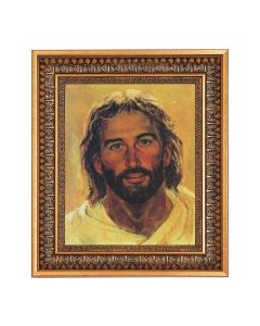 8" x 10" Hook: Head of Christ Print in a 11.5" x 13.5" Vintage Bronze with Acanthus Leaves Frame with Velvet Backing Easel and Glass