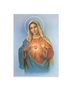 19" x 27" Immaculate Heart of Mary Poster