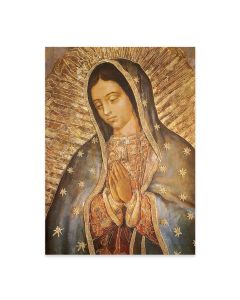 19" x 27" Our Lady of Guadalupe Poster