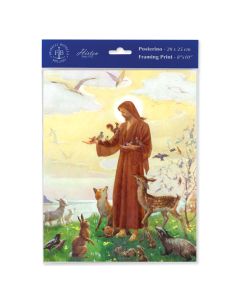 8" x 10" St. Francis Print  (sold in inc. of 3)