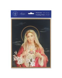 8" x 10" Immaculate Heart of Mary Print  (sold in inc. of 3)