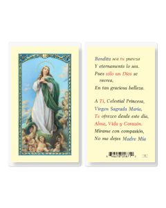 Oracion a la Virgen Maria Holy Card
