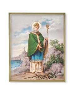 8" x 10" Gold Plaque Frame with a Saint Patrick Print