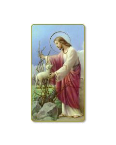 The Good Shepherd Holy Card