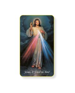 The Divine Mercy Holy Card