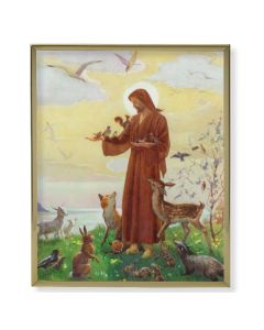11" x 14" Gold Plaque Frame with a Saint Francis Print