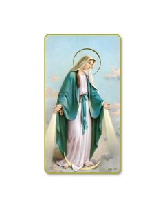 Our Lady of Grace Holy Card