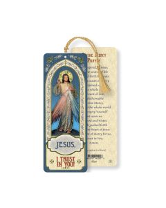 Divine Mercy Laminated Bookmark