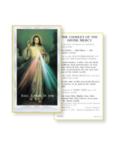 Chaplet of the Divine Mercy Holy Card 