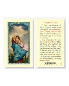 Prayer for Life with Madonna of the Street Holy Card