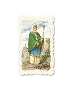 St. Patrick Holy Card