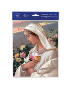 8" x 10" Mystical Rose Print  (sold in inc. of 3)