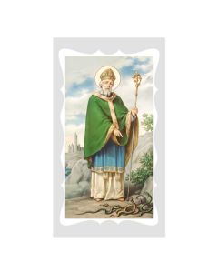 Saint Patrick an Irish Blessing Holy Card