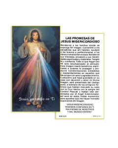 Divine Mercy Holy Card in Spanish