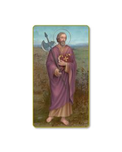 Saint Mattia Holy Card