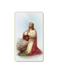 Christ in the Garden Holy Card