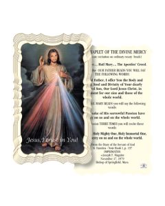 Chaplet Of The Divine Mercy Holy Card