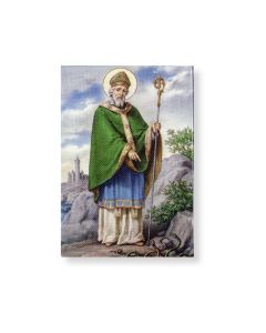 2" x 3" Saint Patrick Magnetic Laminated Plaque
