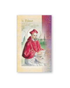 Biography of Saint Robert