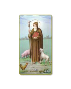 Saint Anthony Holy Card