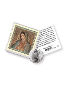Our Lady of Guadalupe Pocket Coin with a Holy Card in a Clear Pouch-P65