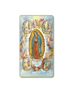 Our Lady of Guadalupe with Vision Holy Card
