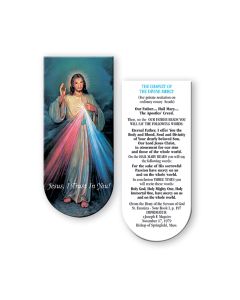 Chaplet of the Divine Mercy Magnetic Bookmark