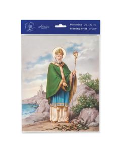 8" x 10" Saint Patrick Print (sold in inc. of 3)