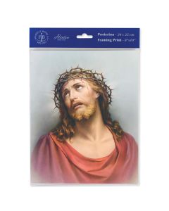 8" x 10" Ecce Homo Print (sold in inc. of 3)