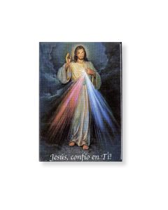 2" x 3" Spanish Divine Mercy Magnetic Laminated Plaque