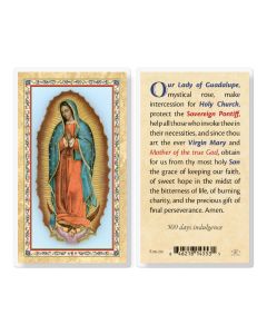 Prayer to Our Lady of Guadalupe Laminated Holy Card. Inc. of 25