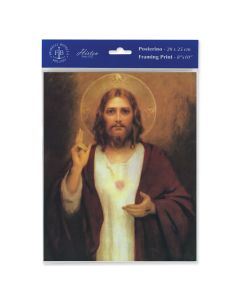 8" x 10" Sacred Heart Print of Jesus Print  (sold in inc. of 3)
