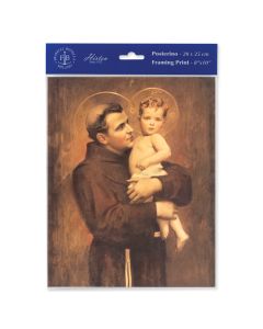8" x 10" Chambers: St. Anthony with Jesus Print  (sold in inc. of 3)