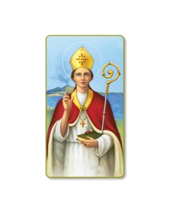 Saint Gennaro Holy Card